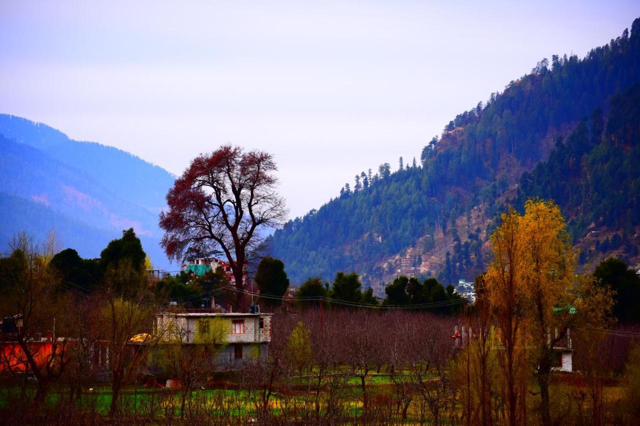 Hotel Kingston - Manali (Himachal Pradesh) — Photos 1